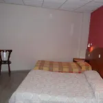 Louvre Vincenette Lourdes